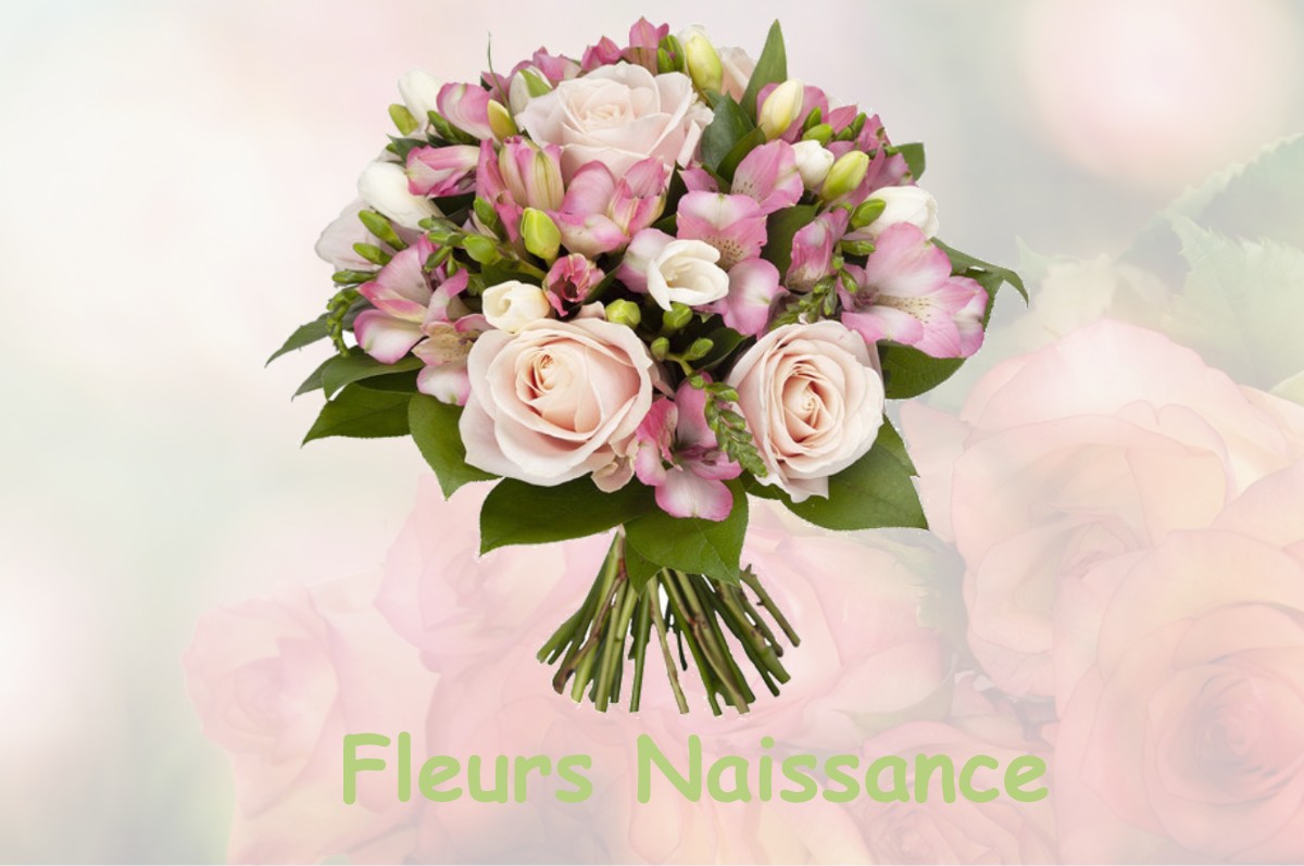 fleurs naissance VARENNES-SAINT-SAUVEUR